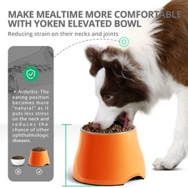 yoken Elevated Dog Bowls, [Prevention of Vertebrae Disease] [Super Non-Slip] Dog Bowl with Stainless Steel Bowl, High Capacity Dog Food Bowls, Colorful Raised Dog Bowls for Medium/Small Size Dogs
