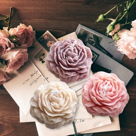 WADY Moldes de Silicona para Jabón de Peonía, 3 piezas, Moldes de Silicona para Velas con Aguja de Ojos Grandes, Mechas de Vela para Bricolaje Hecho a Mano, Creativo para Aromaterapia de Flores (Blanco)