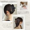 Chicer Hair Clip, Large Hair Clip, Hair Clip, Hair Accessory,