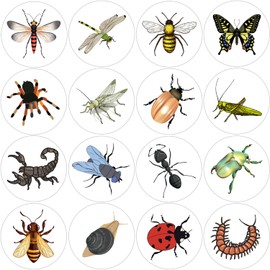 Hohamn 600Pcs Round Insect Stickers Roll 1.5 Inch Insect Label Stickers for Kids Party Favors Teacher Reward Encouragement Motivational Stickers