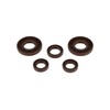 Set Engine Regeneration with Kautasite Seals Engine Type M53/2 for