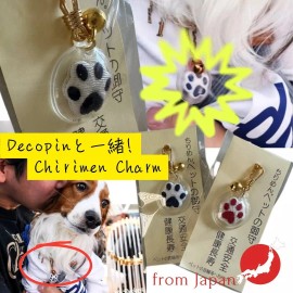 Shohei Ohtani Decoy Decopin #17 - Dodger Championship Parade Edition pet charm