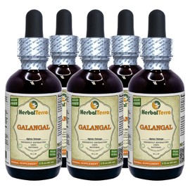 Galangal (Alpinia Galanga) Tincture, Organic Dried Root Liquid Extract (Brand Name: HerbalTerra, Proudly Made in USA) 5x2 fl.oz (5x60 ml)