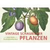 Postkarten-Set Vintage-Schaubilder Pflanzen: 18 Kunstpostkarten aus hochwertigem Karton. ca. 0,28€
