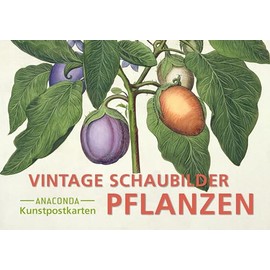 Postkarten-Set Vintage-Schaubilder Pflanzen: 18 Kunstpostkarten aus hochwertigem Karton. ca. 0,28€ pro Karte (Anaconda Postkarten, Band 88)