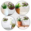 VICASKY 2Pcs Wall Mounted Simulated Rattan Flower Baskets Chic Home