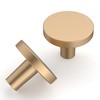 Amerdeco 30 Pack Champagne Bronze Cabinet Knobs Single Hole Cabinet