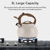 Whistling Tea Kettle 3L Large Capacity Home Stainless Steel Whistle