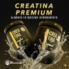100% Creatina Monohidratada Micronizada Nosurrender.club