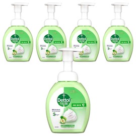 Dettol Foaming Antibacterial Hand Wash Apple Blossom main product, 250ml, 5 pcs / 데톨 포밍항균 핸드워시 애플블로썸 본품, 250ml, 5개