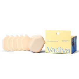 Body Bar Paste Makeup Sponge 5pcs + Case SET / 바디바 붙여쓰는 메이크업 스펀지 5개입 + 케이스 SET