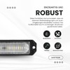 Raptors LED Technik Front Flasher XM6 | White I Approval
