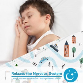 Sensory Sheet Special Needs Bed Sheet Breathable and Stretchy (Queen, Car)