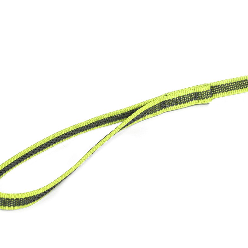 Julius-K9 Colour and Grey Rubber Lead, with tube