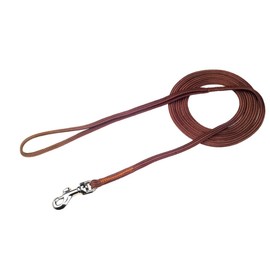 Alvalley Show Snap Dog Leash – Braided Nylon Dog Training Leash with Durable Snap Clips - Suitable for Showing, Training, and Walking - Perfect for Small, Medium, and Large Pets