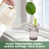 Plant Propagation Friends, Plant Cutting Holder Plant Support for Sprouts,