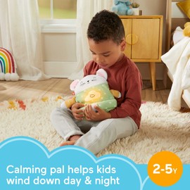 Fisher-Price Baby Sound Machine Meditation Mouse Plush Baby Toy with Light & Music for Toddlers & Preschoolers Ages 2-5 Years