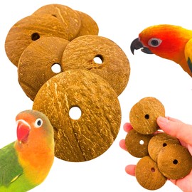 Bonka Bird Toys 1252 Pk6 Small Coconut Disks – 1.5" to 2" Natural Chewing Toy for African Greys, Macaws, Cockatoos, Amazons, Conures – DIY Bird Toy Crafting & Foot Exercise