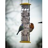 Peckish Daily Goodness Suet Nugget Metal Bird Feeder,Yellow