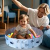 Ball Pit for Babies,Creative Ball Pool for Pet - No