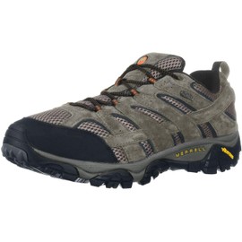 Merrell Men's Moab 2 Waterproof Walnut Hiking Shoe 10 M US