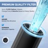 EXCELPURE 1 Micron 10" x 2.5" Whole House CTO Carbon