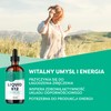 Vimergy Organic Liquid Vitamin B12 Supplement 2500 mcg, Methylcobalamin &