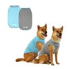 DAJIDALI Dog and Cat Shirt in Tech Fabric with Luminous