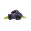 Mini Smart Planter Kit with Black Pansy by Click&Grow, Hydrovase