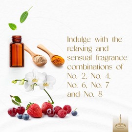 Gonesh - Classic Incense Sticks Variety Pack - Non-Toxic 10” Slow Burn Aromatic Sticks - No. 2, 4, 6, 7 and 8-5 Packs of 20