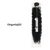 SHAKE-N-GO Weave Organique Beach Curl 24" (27)