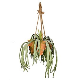 Vickerman Everyday 22" x 11" x 7" Indoor Staghorn Fern - Hanging Triangular Cone Ceramic Container - Decoration of Durable Polyester for Arrangements - Maintenance Free