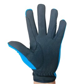 Ladies Equestrian Gloves All Sports Outdoor Sports Gloves Horse Riding (Blue, Large)