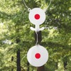 Spinner Air Rifle Target, 360° Rotating Shooting Target, Metal Reset