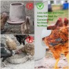 Klywun DIY Automatic Chicken Feeders and Waterer Set No Waste