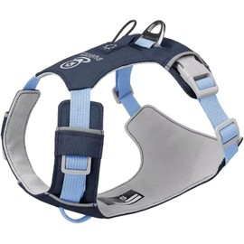 Arn?s/ Pechera para Perro ,arnes Ajustable Antitirones,arnes con Bandas Reflectantes, Arnes para Paseo,chaleco Transpirable con Anillo en D, Ligero, Seguro y C?modo, Colores Vivos (azul Marino, G)