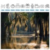 Fmarui Swamp Landscape Backdrop Bald Cypress Trees and Spanish Moss