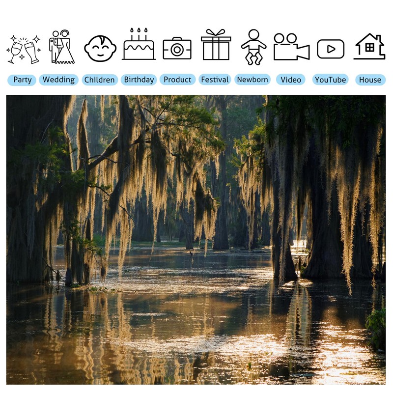 Fmarui Swamp Landscape Backdrop Bald Cypress Trees and Spanish Moss