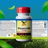 Get UP® Vitamin B6 15 mg als Pyridoxal-5‘-Phosphat - 100