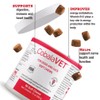 CobalaVet Vitamin B12 & B9 for Small Dogs & Cats