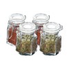 Premier Housewares Spice Jars with Clip Tops - 8 x