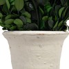 Creative Co-Op Boxwood Topiary in Clay Pot