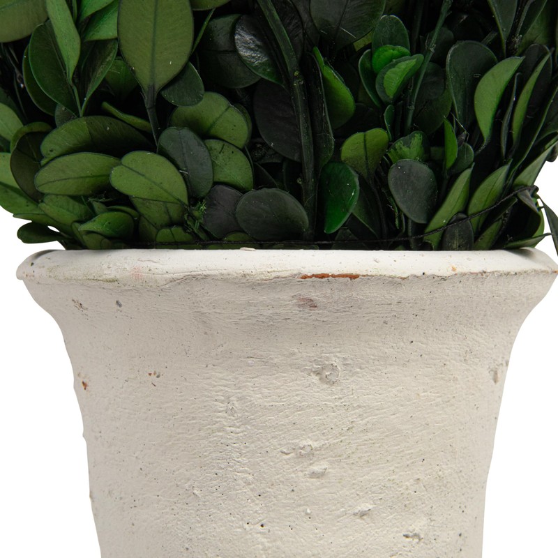 Creative Co-Op Boxwood Topiary in Clay Pot