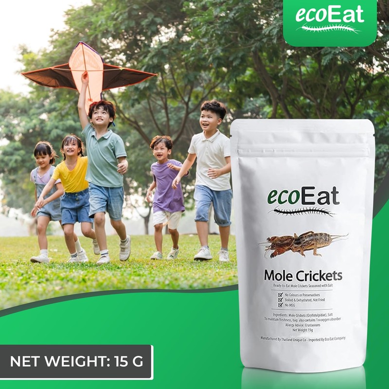 ecoEat Edible Insects Mole Crickets (Gryllotalpidae) - 15g Bag -