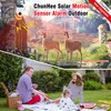 Generic chunhee solar alarm moiton detector with motion sensor alarm,