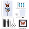 Entomology Starter Pack Includes pins, mounting Board, Spreading Tools, Display