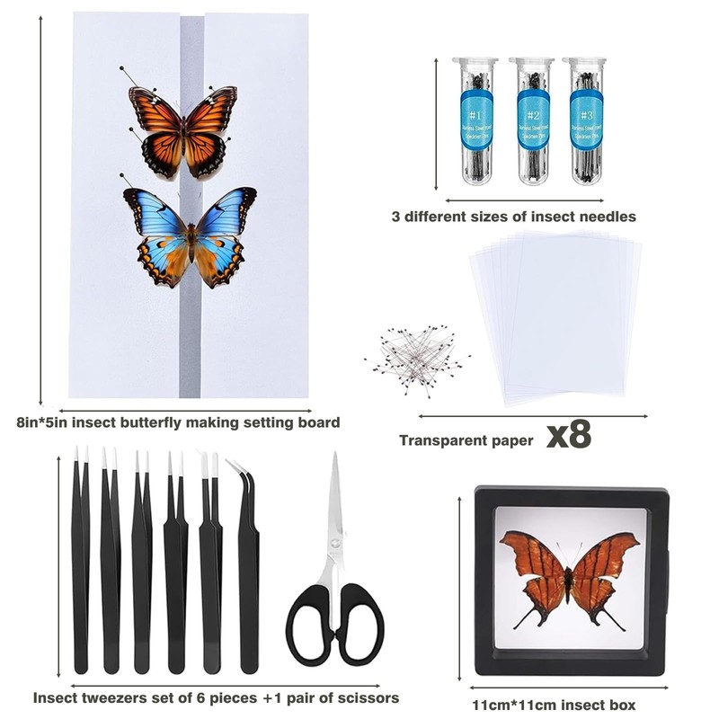 Entomology Starter Pack Includes pins, mounting Board, Spreading Tools, Display