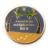 25 Year AA, Alcoholics Anonymous Beach Medallion, Chip, Token, Blue,