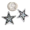 Sparkling Royal White Star Stud Post Earrings Clear Rhinestones Fashion