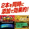 Pro Staff G125 Car Rikitaro & Fire God Riki Set